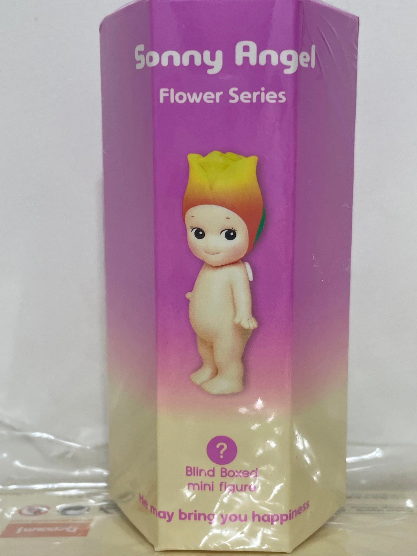 Sonny Angel Blind Box Series